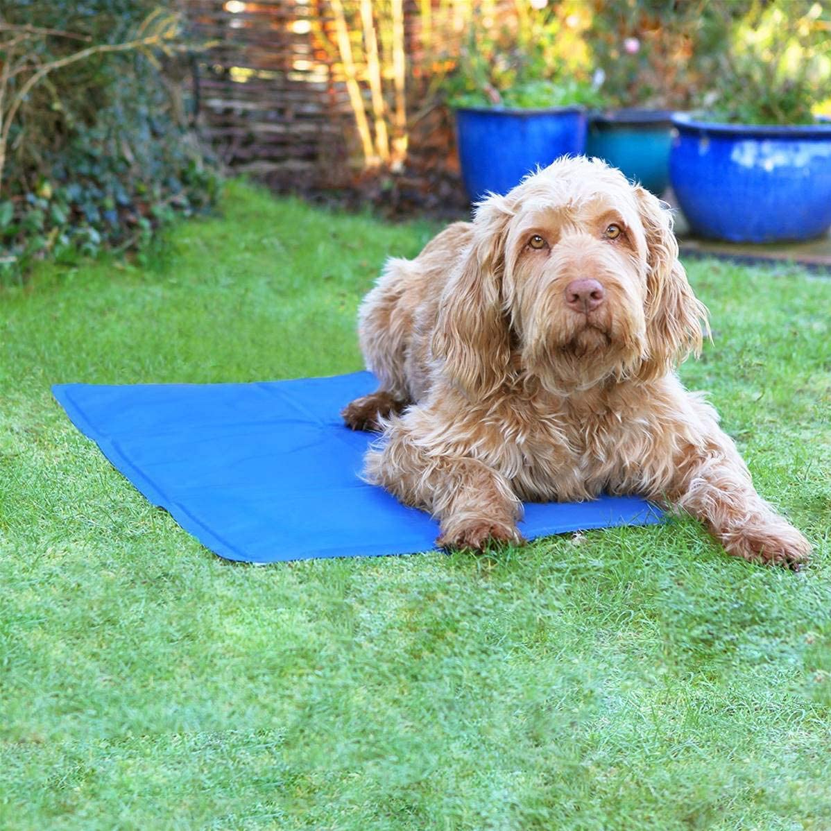 Chill with Your Pawsome Pal: Keep Your Pet Cool with Our Self-Cooling Pads!